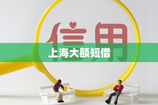 上海大额短借