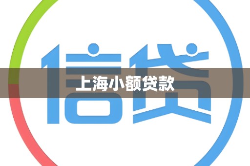 上海小额贷款
